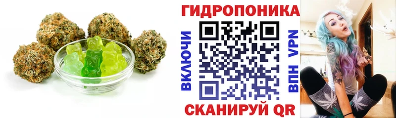 даркнет телеграм  Ладушкин  Cannafood конопля 