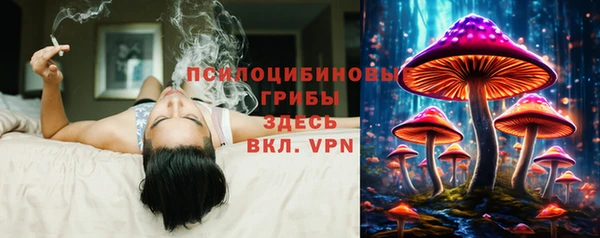 амф Кулебаки