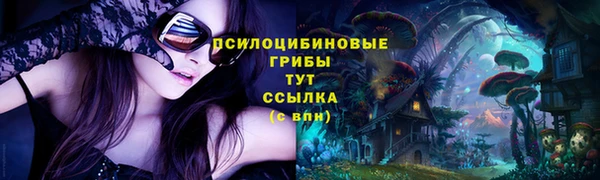 амф Кулебаки