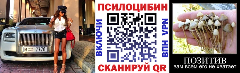 Галлюциногенные грибы прущие грибы  Ладушкин 