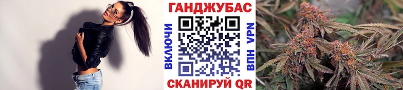 Шишки марихуана сатива  Ладушкин 